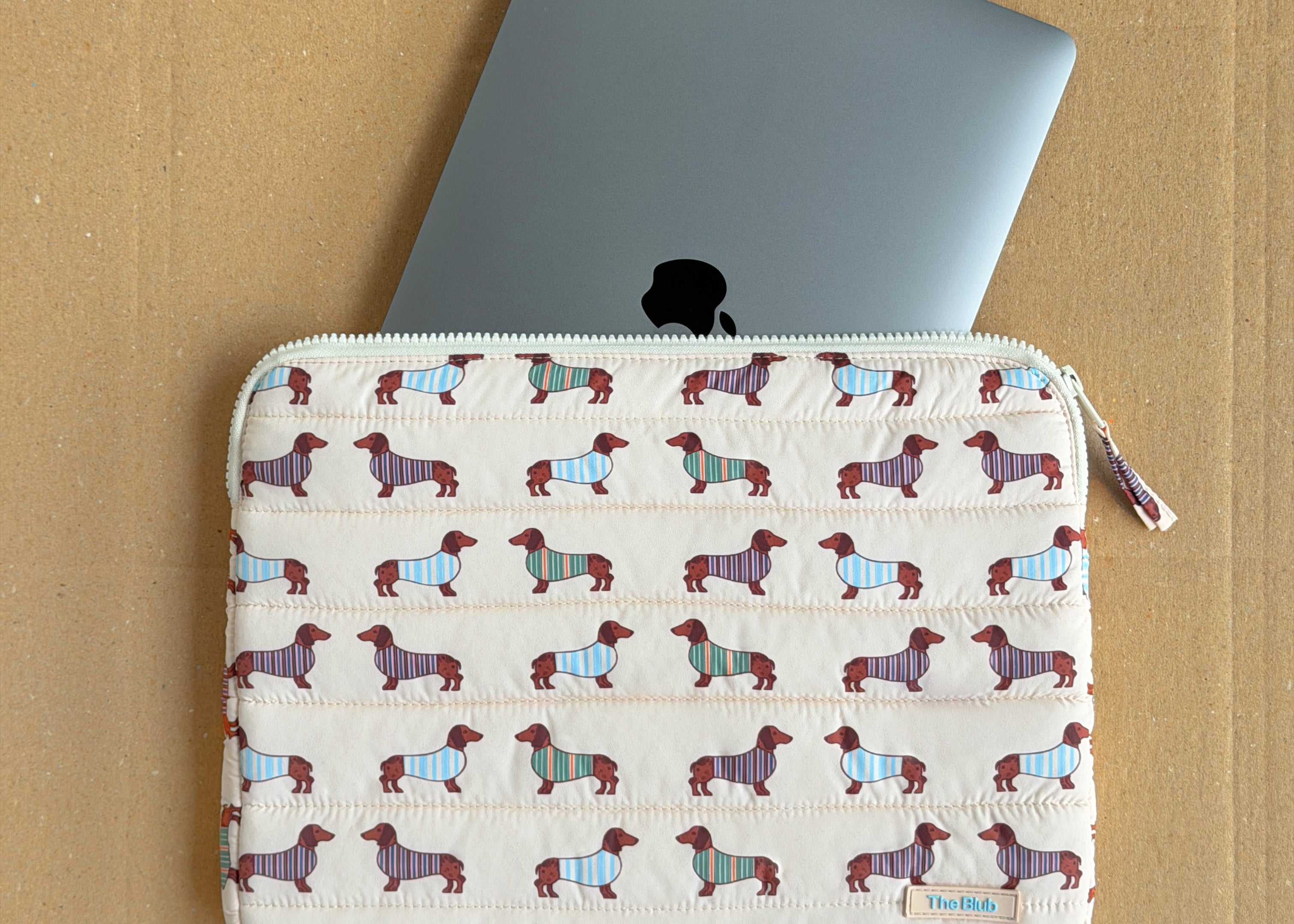 dachshund