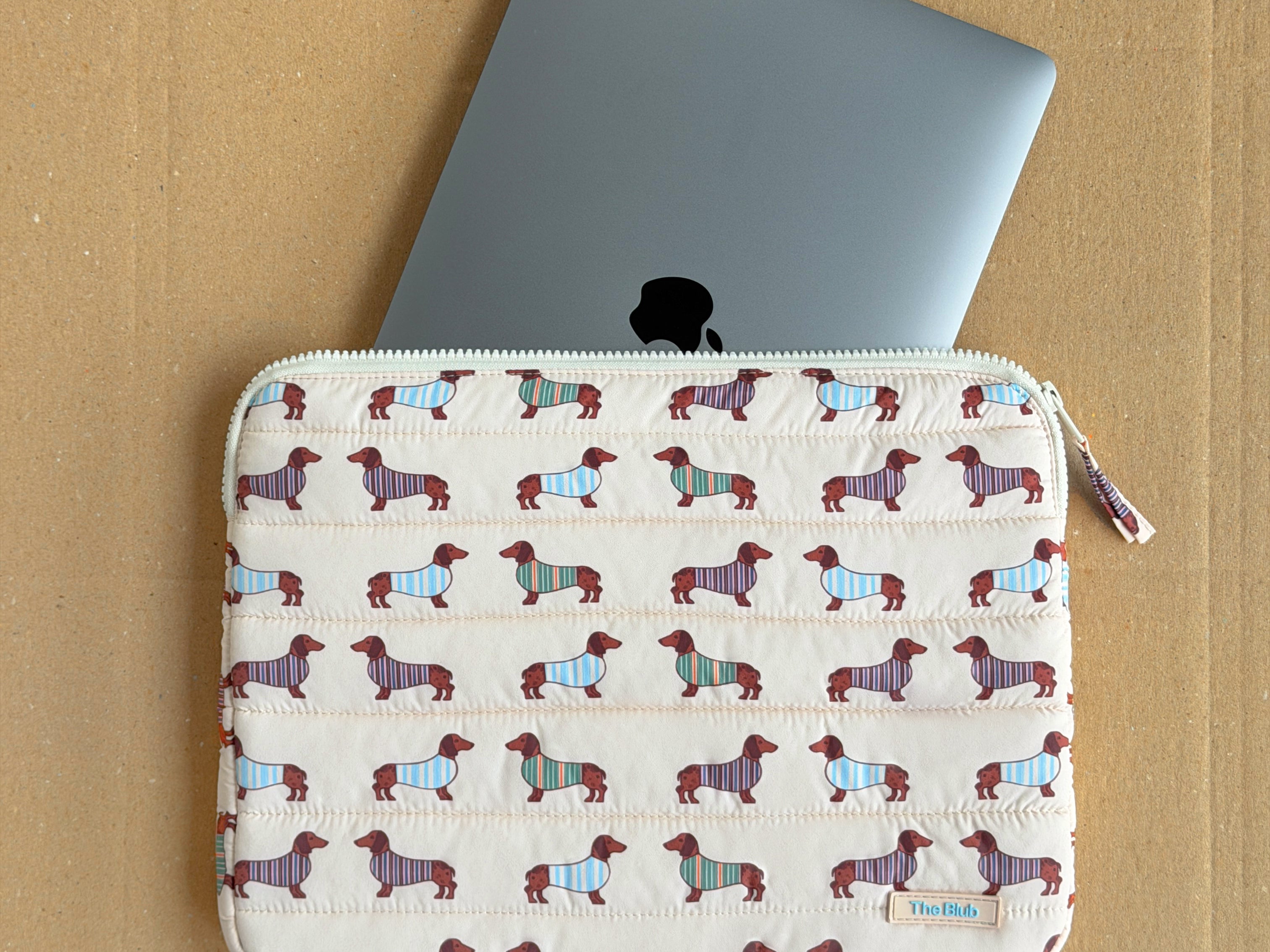 dachshund