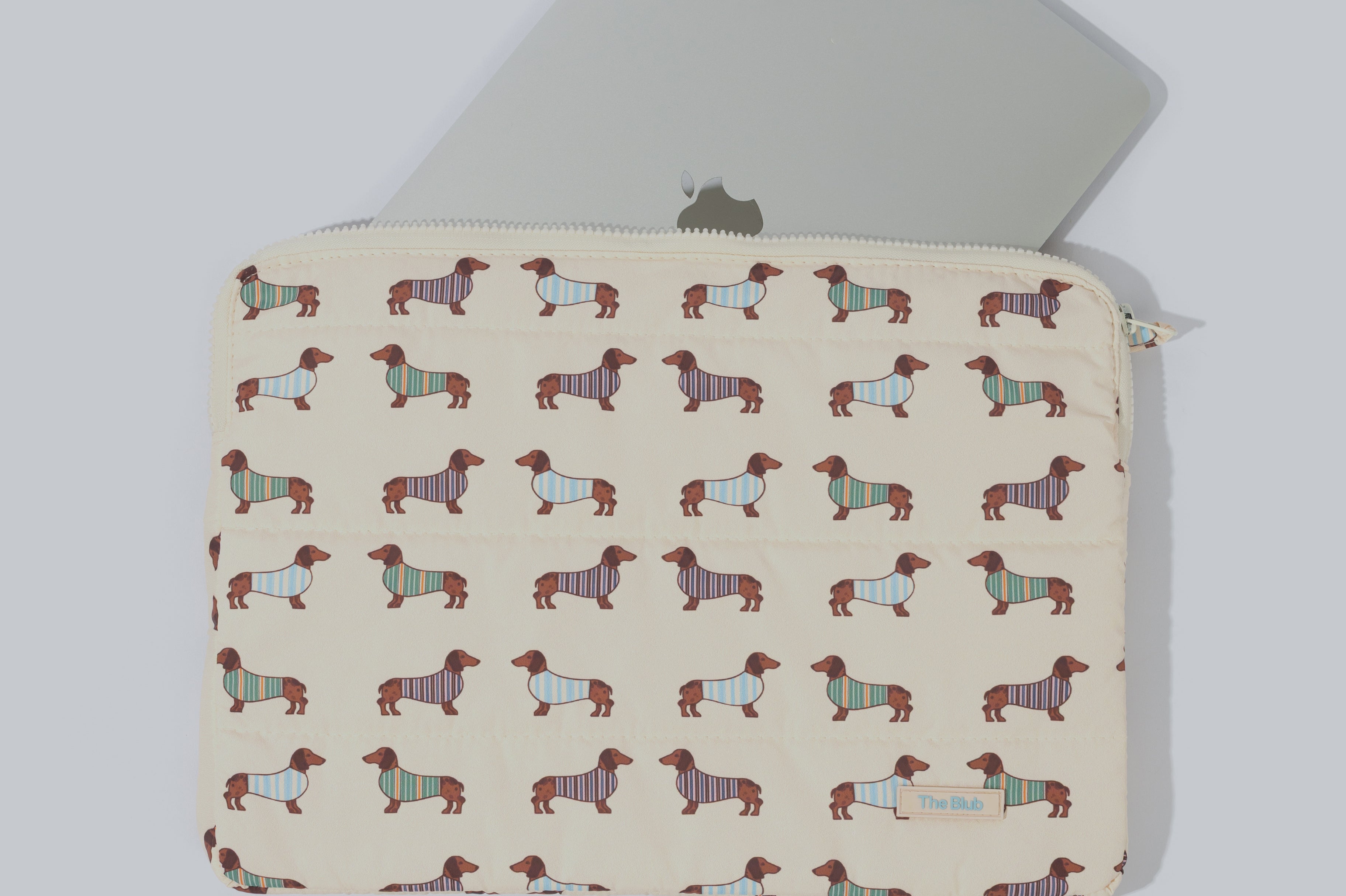 dachshund