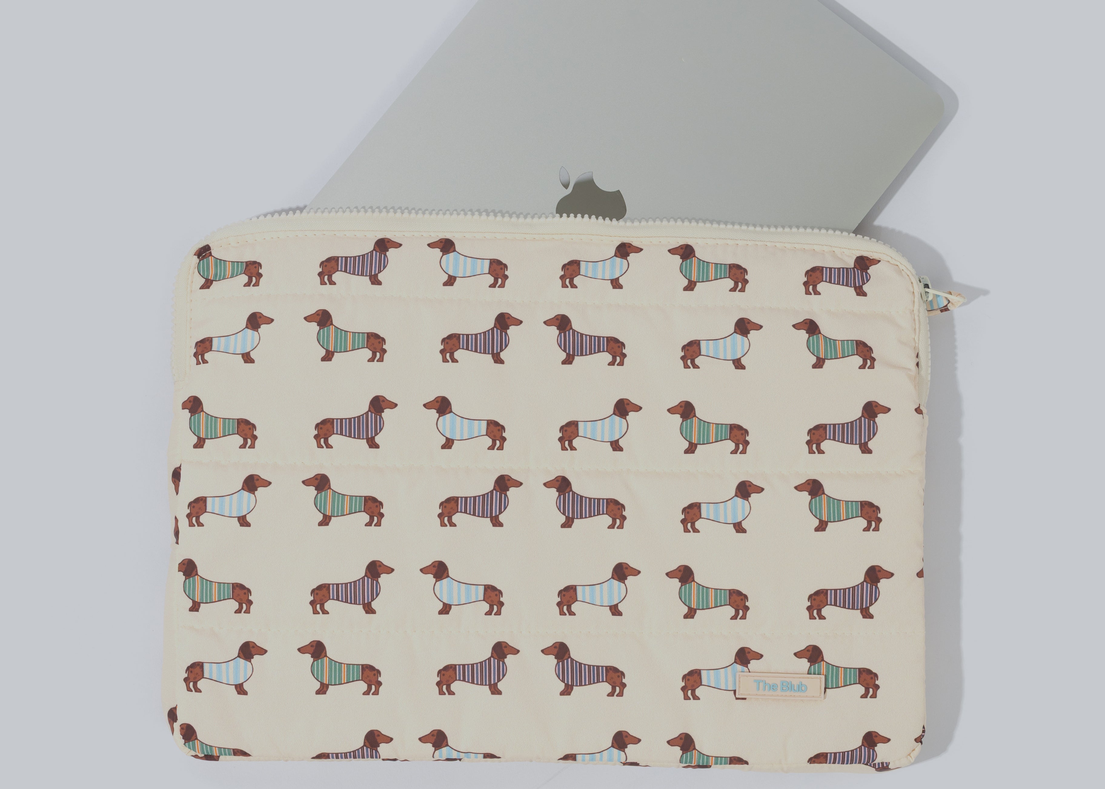 dachshund