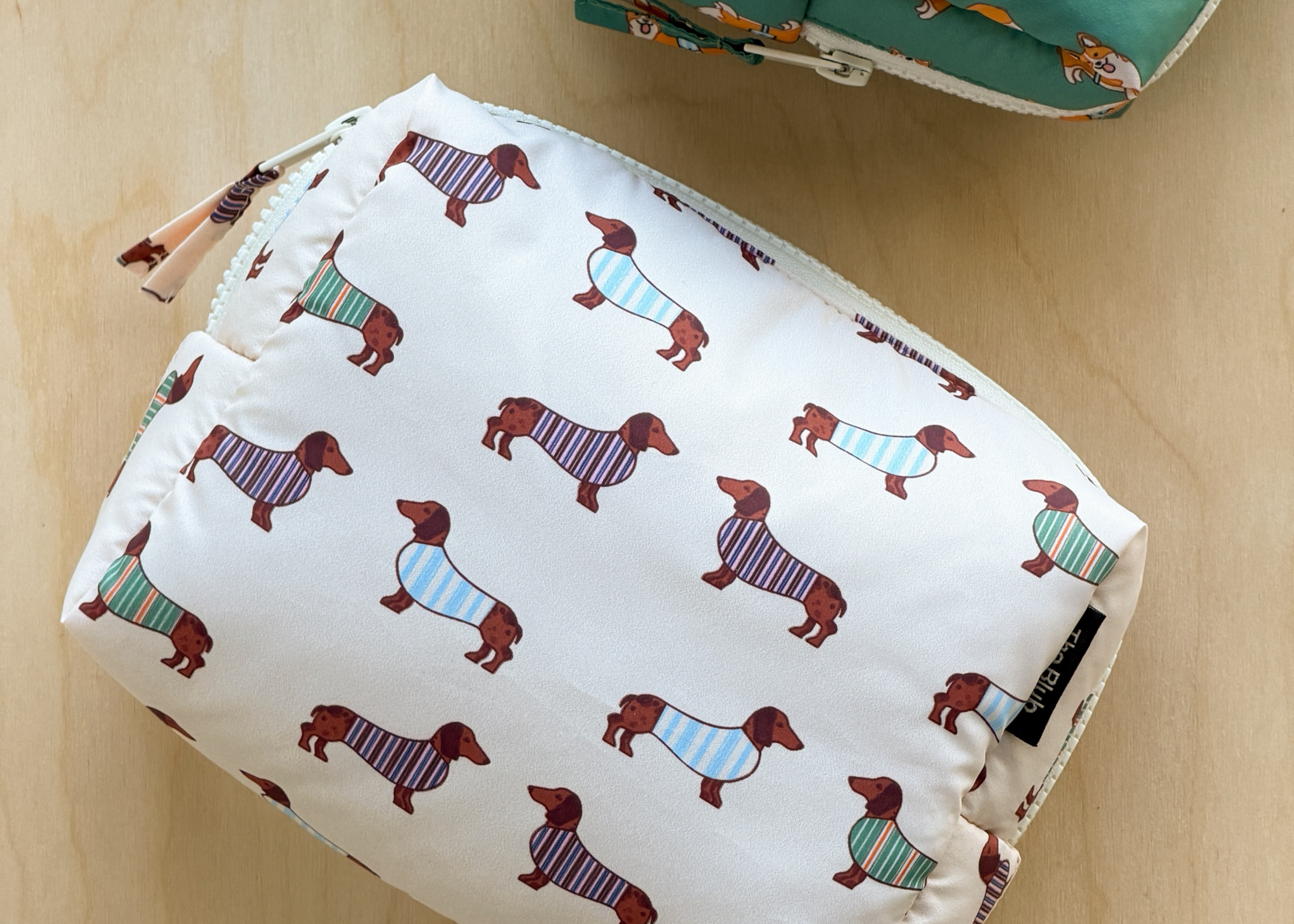 dachshund