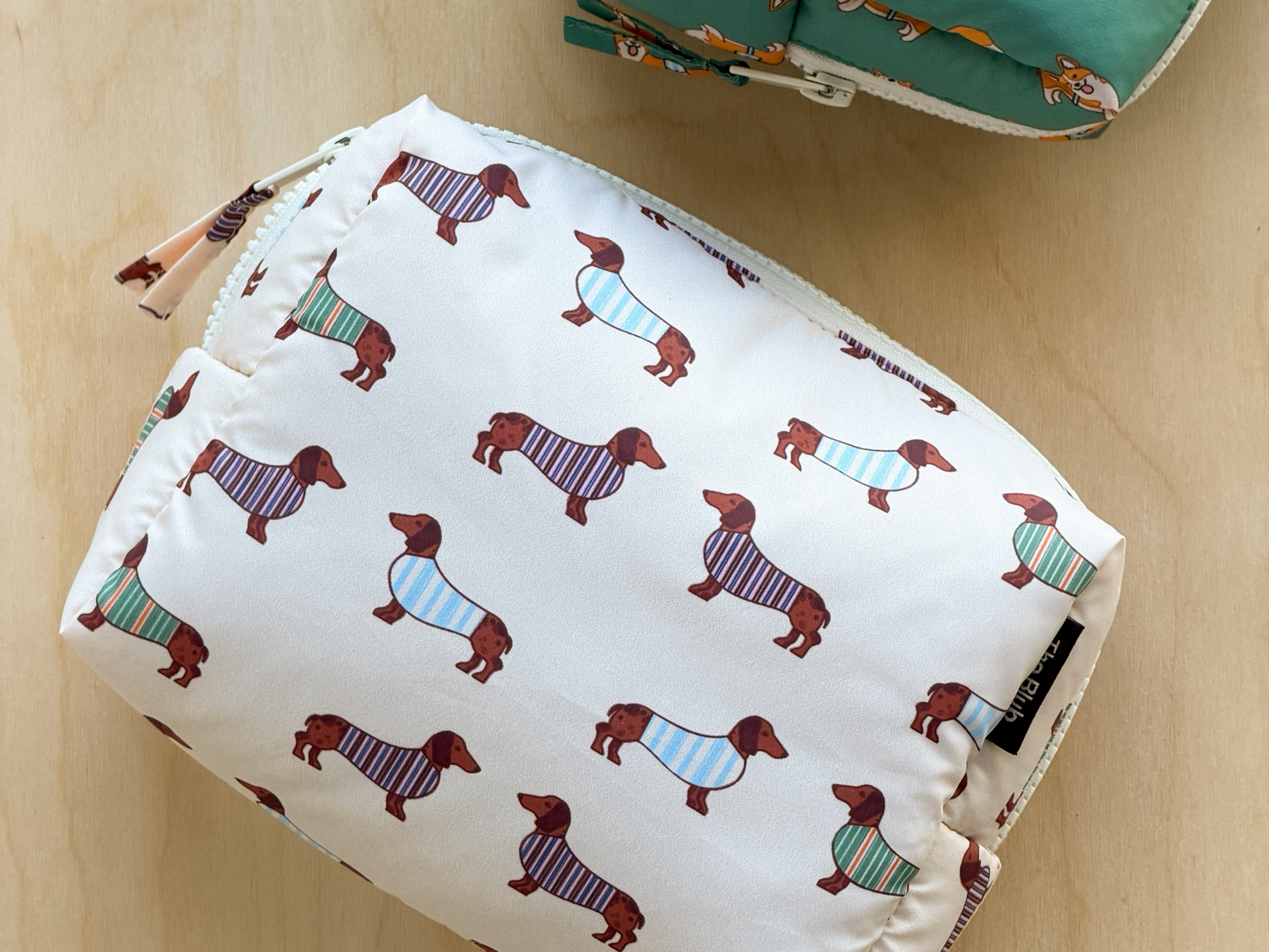 dachshund